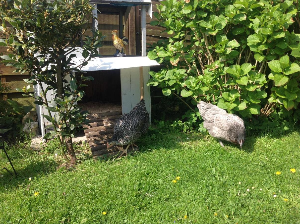 Bed and Breakfast Le Jardin Des Poules Thietreville Экстерьер фото